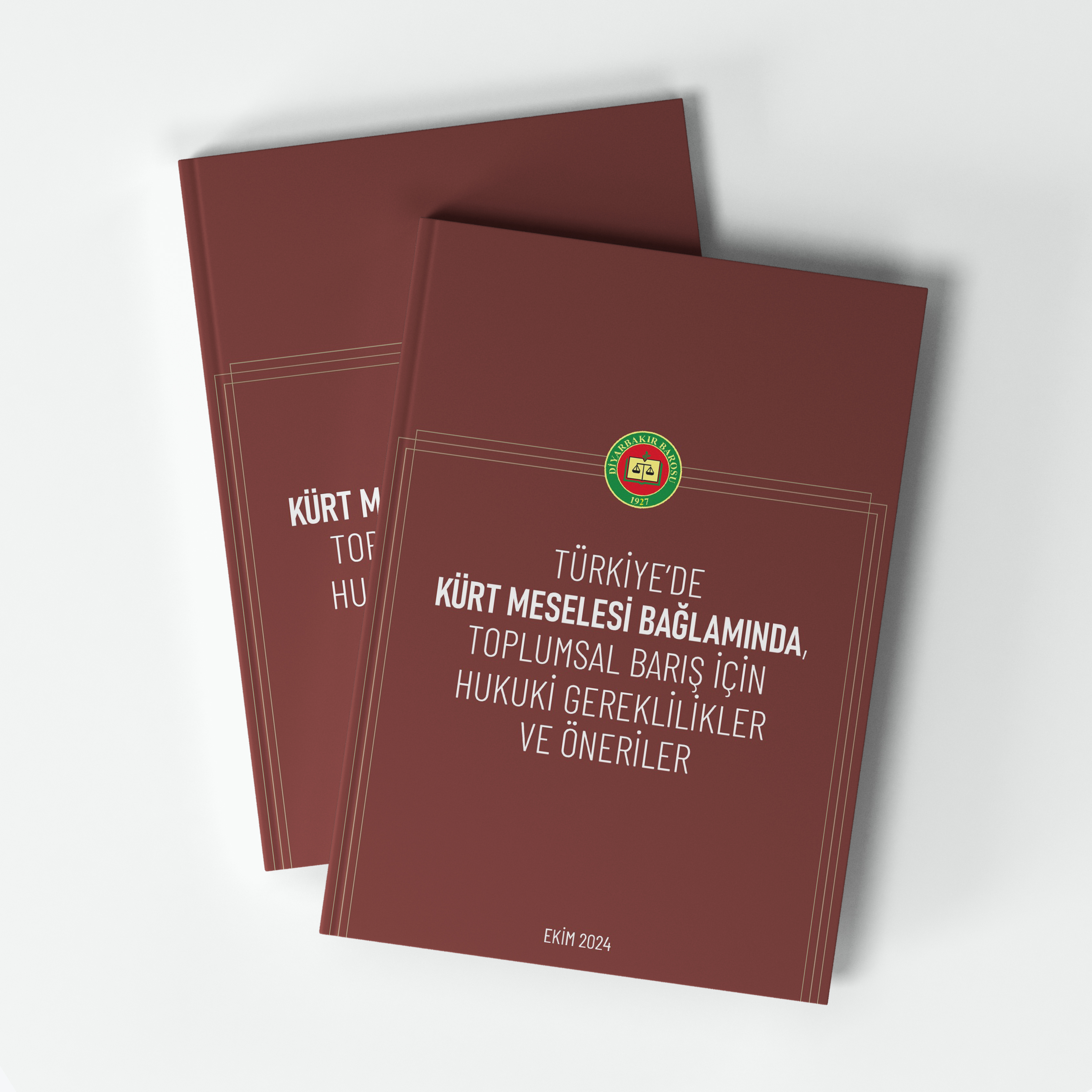 Türkiye'de, Kürt Meselesi Bağlamında Toplumsal Barış İçin Hukuki Gereklilikler Ve Öneriler Raporuna İlişkin Basın Açıklaması Yapıldı — 3
