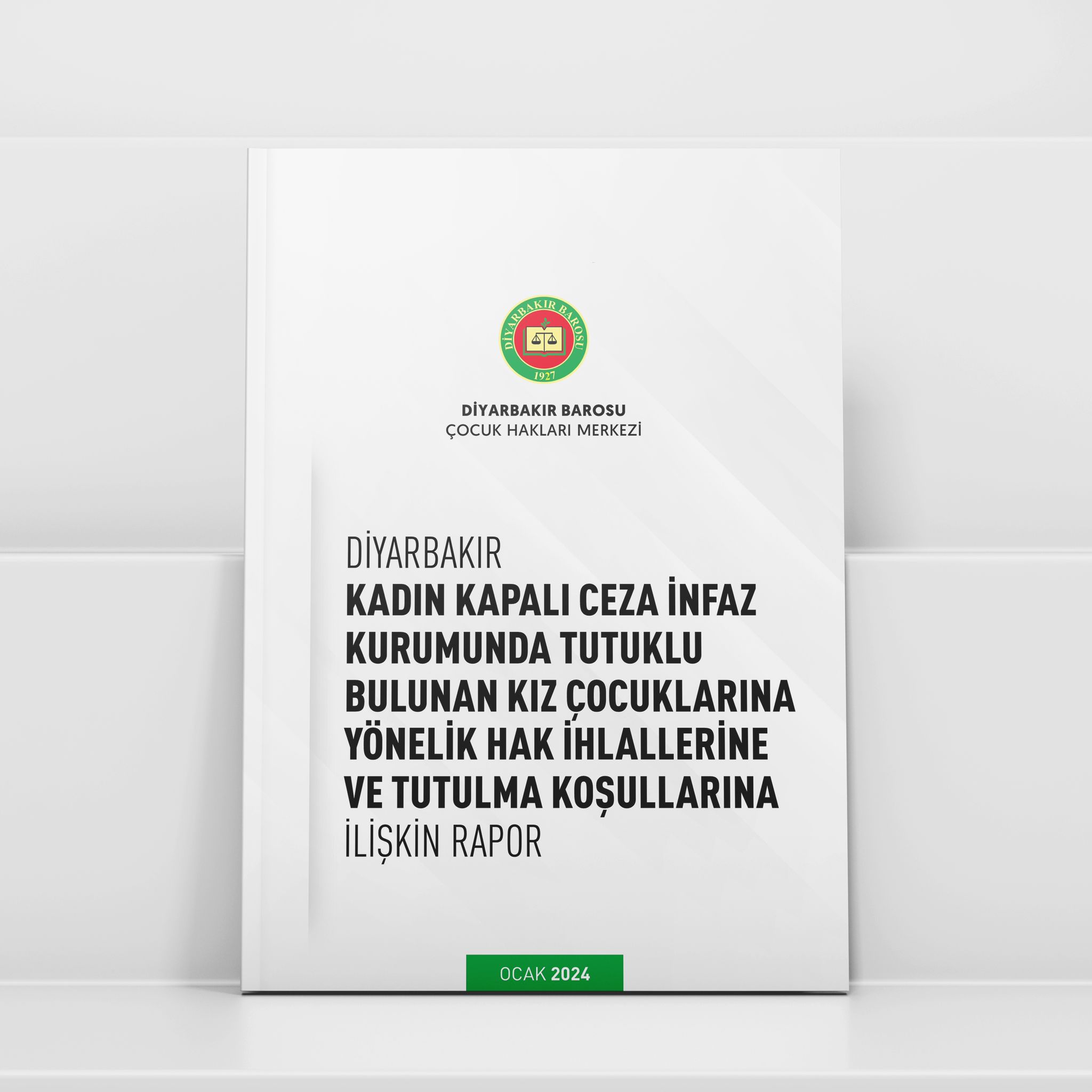 "Diyarbakır Kadın Kapalı Ceza İnfaz Kurumunda Tutuklu Bulunan Kız Çocuklarına Yönelik Hak İhlallerine ve Tutulma Koşullarına İlişkin Rapor" kamuoyu ile paylaşıldı. — 2